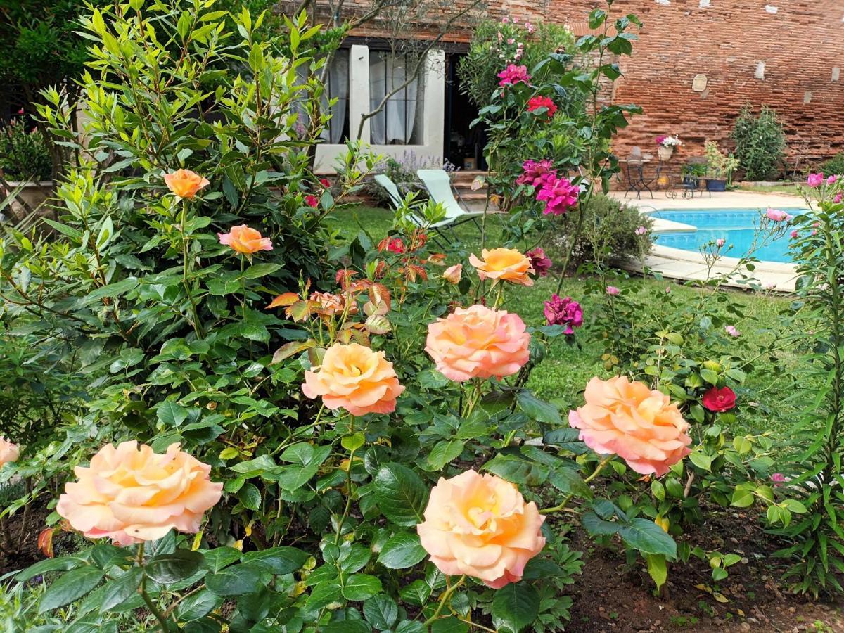 L'Arche De Moissac Bed & Breakfast Exterior foto